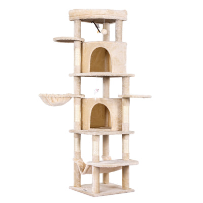 PET-CAT-L167-BG-202601271828-01.jpg