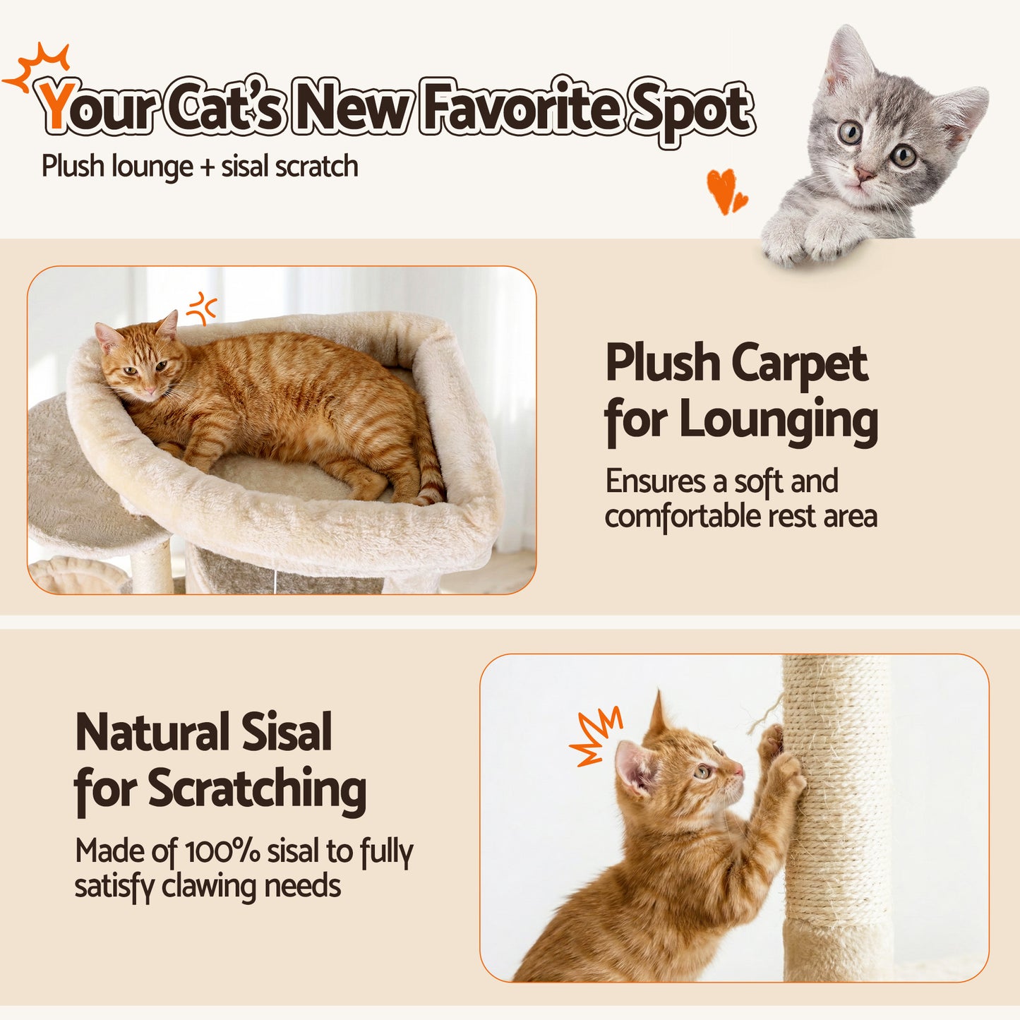 PET-CAT-L167-BG-202601271828-07.jpg
