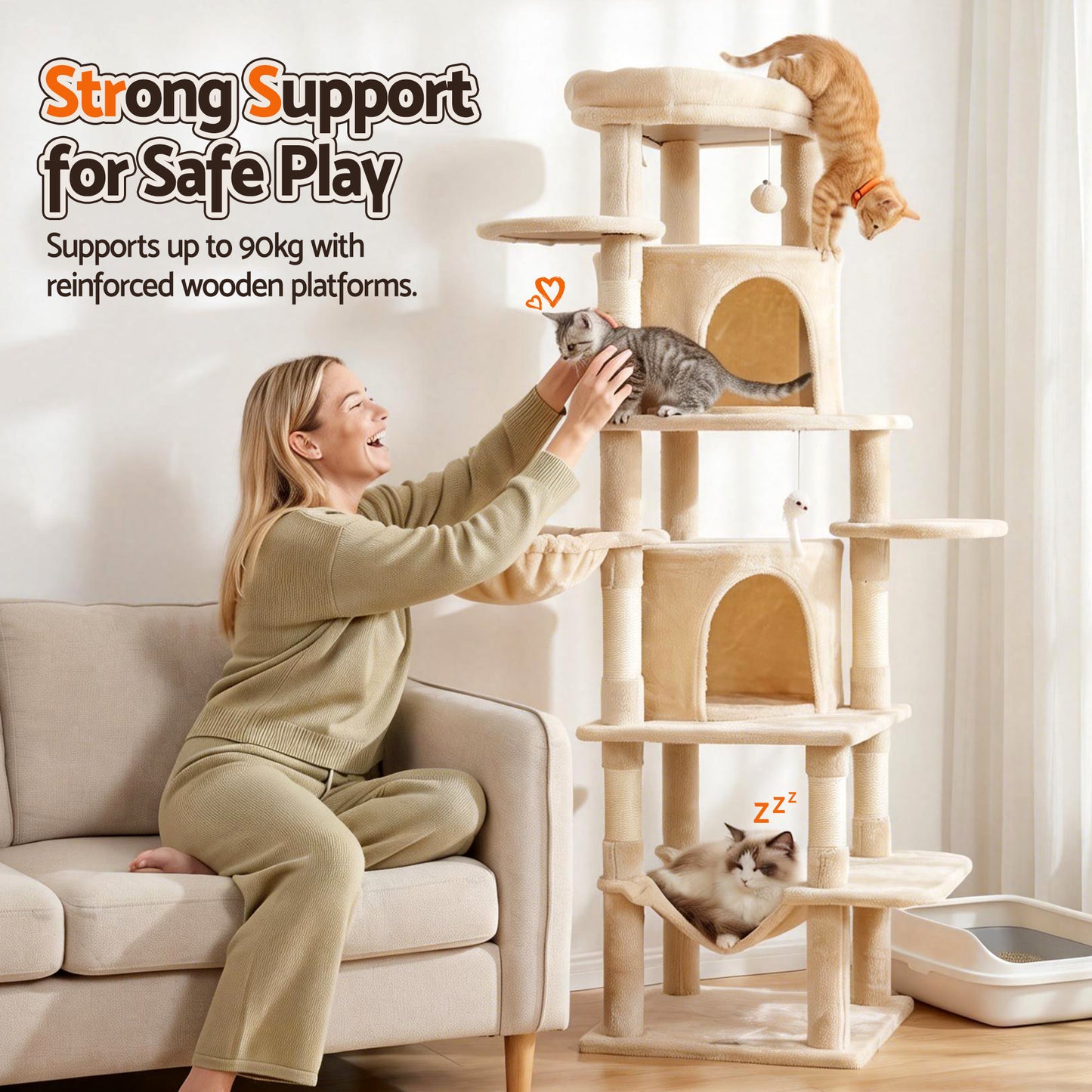PET-CAT-L167-BG-202601271828-08.jpg