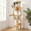 PET-CAT-L167-BG-202601271828-09.jpg