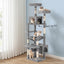 PET-CAT-L184-LTGR-202506111511-06.jpg