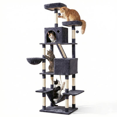 PET-CAT-L206-GR-202601271828-00.jpg