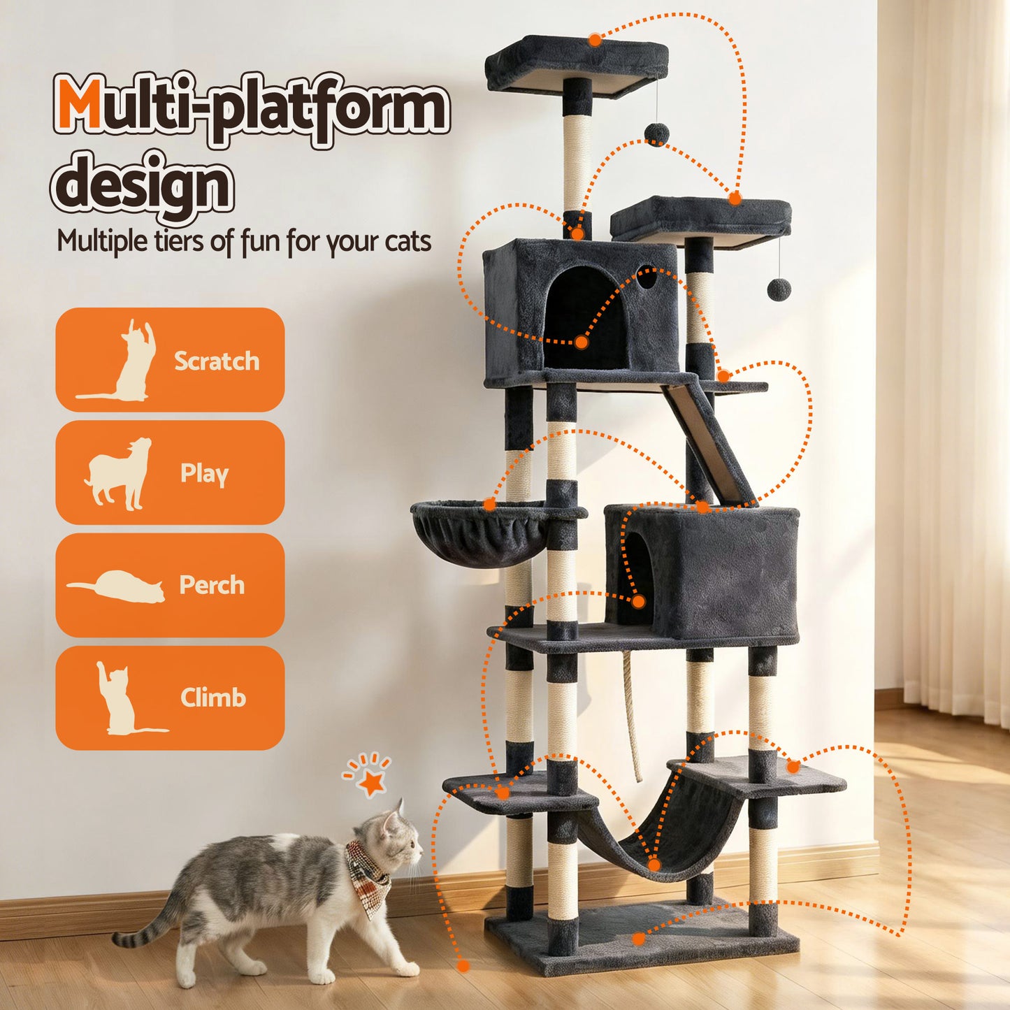 PET-CAT-L206-GR-202601271828-04.jpg