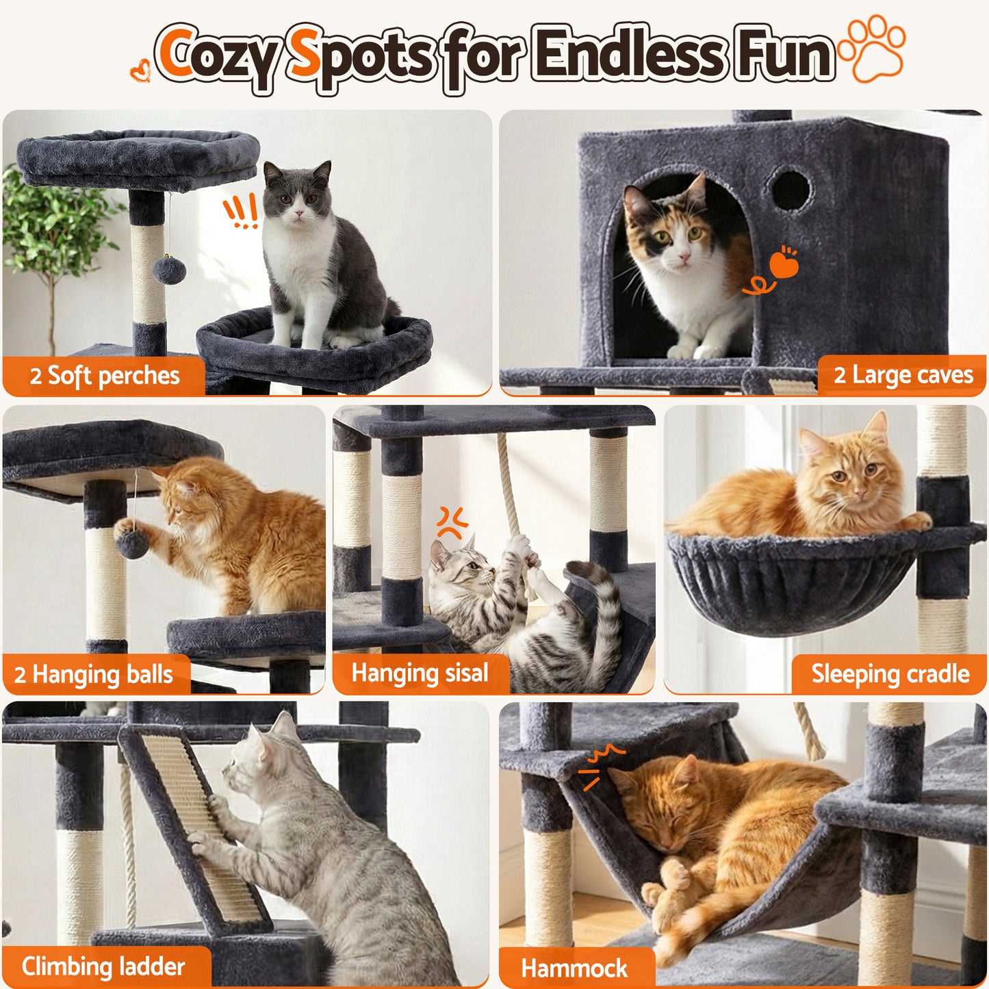 PET-CAT-L206-GR-202601271828-05.jpg