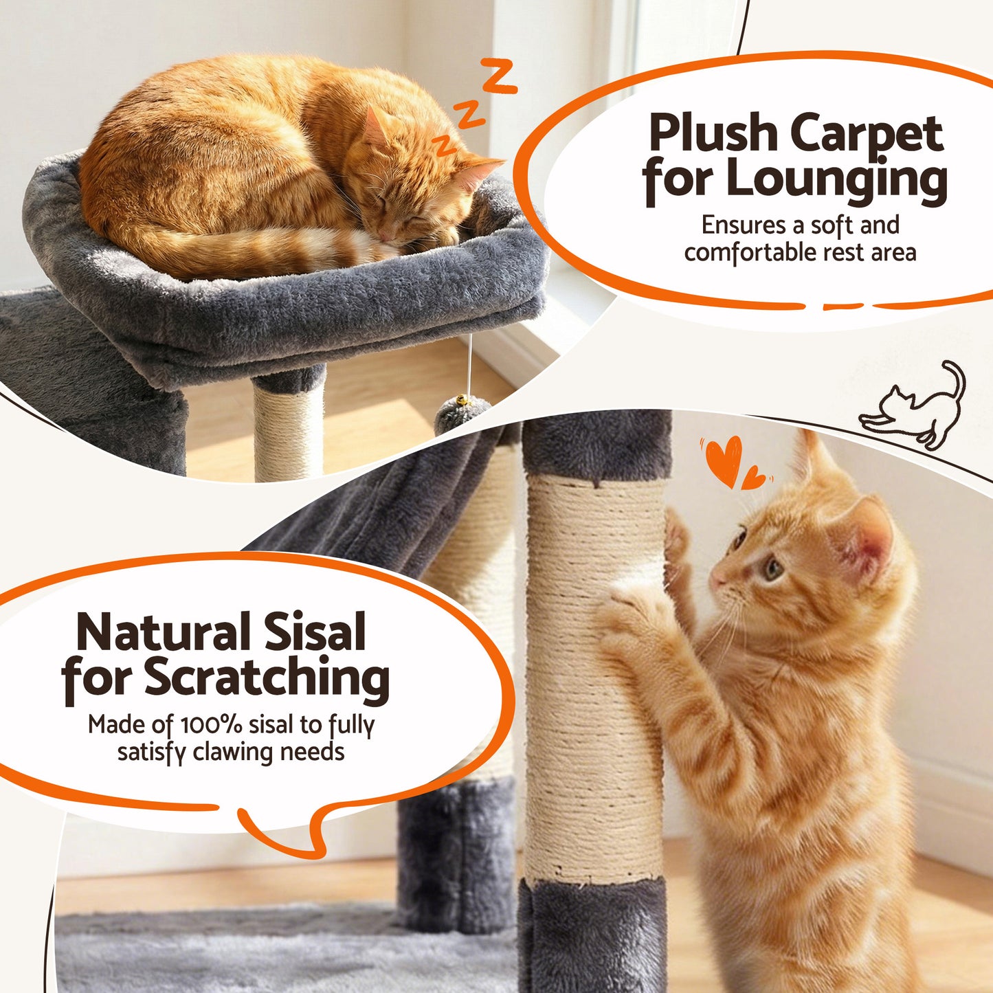 PET-CAT-L206-GR-202601271828-07.jpg