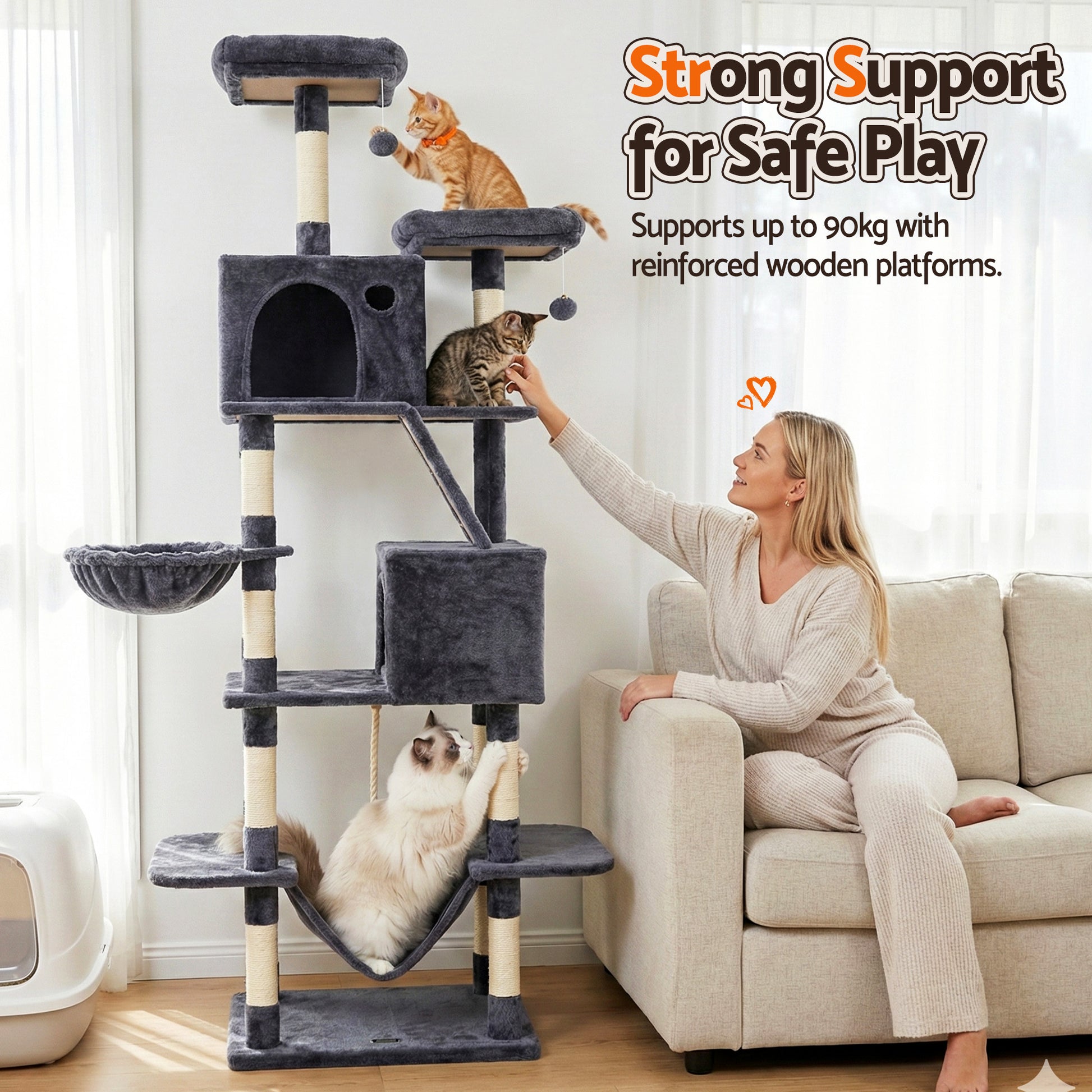 PET-CAT-L206-GR-202601271828-08.jpg