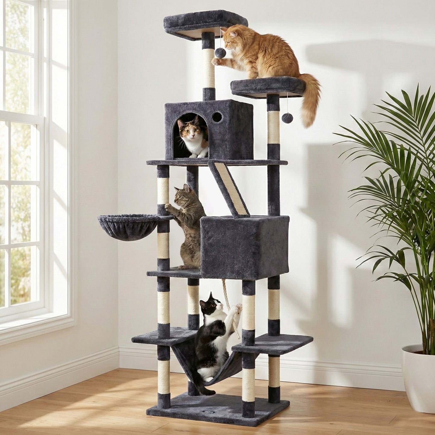 PET-CAT-L206-GR-202601271828-09.jpg