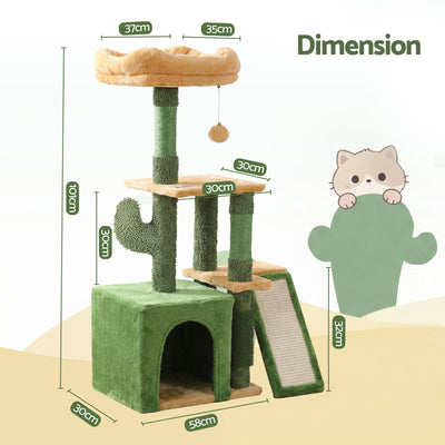 PET-CAT-M101-GN-202601161226-01.jpg