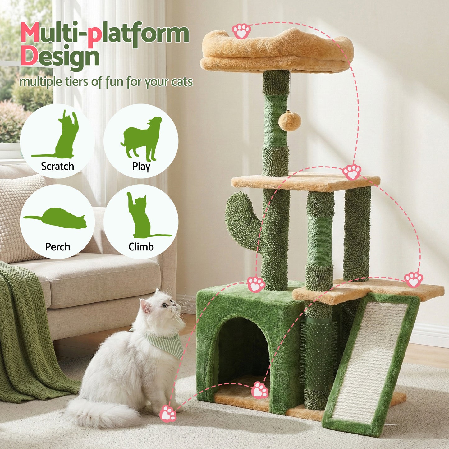 PET-CAT-M101-GN-202601161226-03.jpg