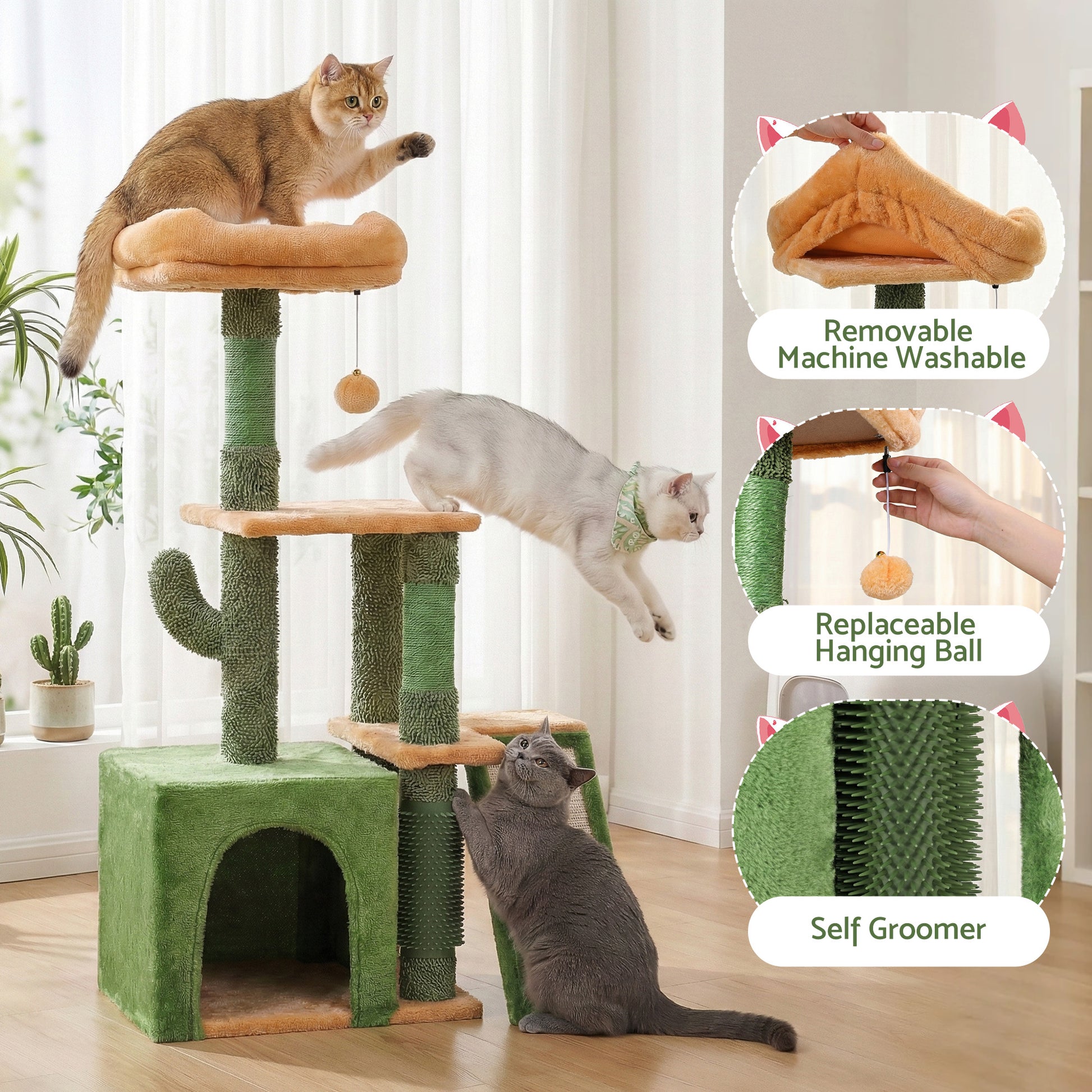 PET-CAT-M101-GN-202601161226-05.jpg