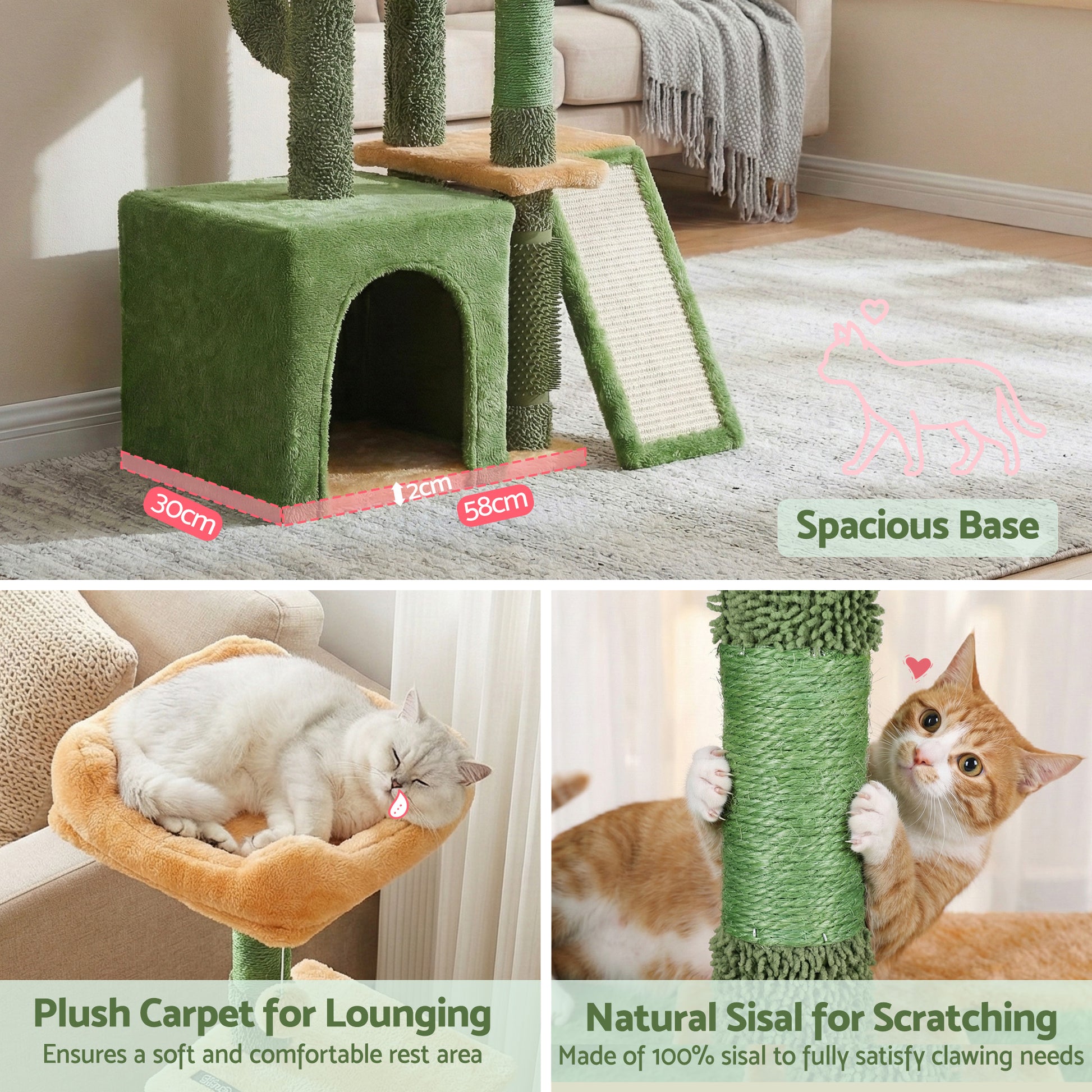 PET-CAT-M101-GN-202601161226-07.jpg