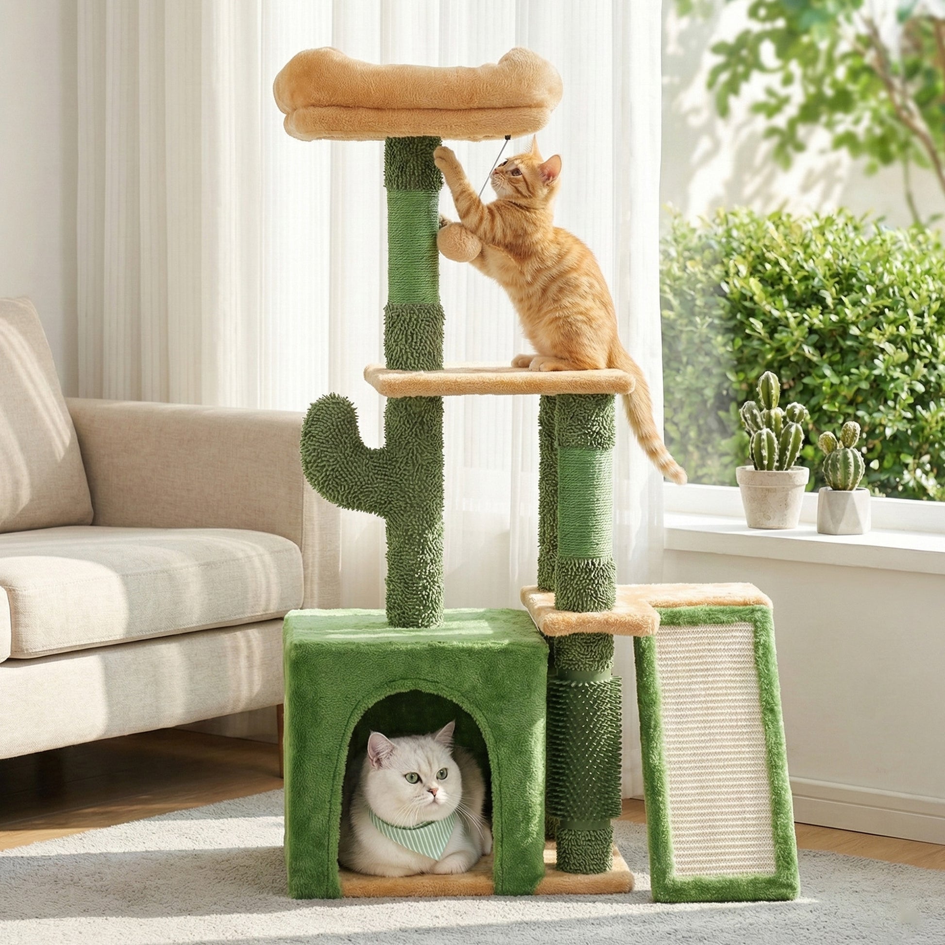 PET-CAT-M101-GN-202601161226-09.jpg