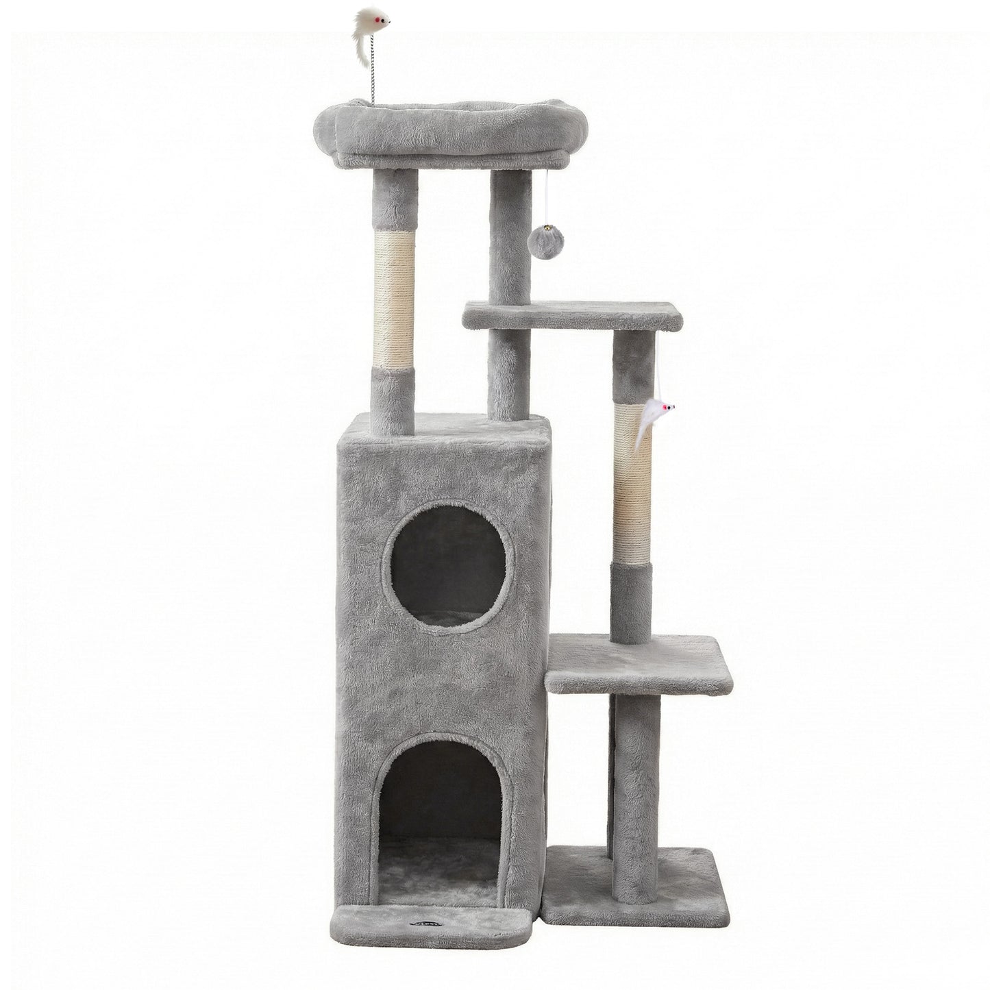 PET-CAT-M127-LTGR-202601161226-02.jpg