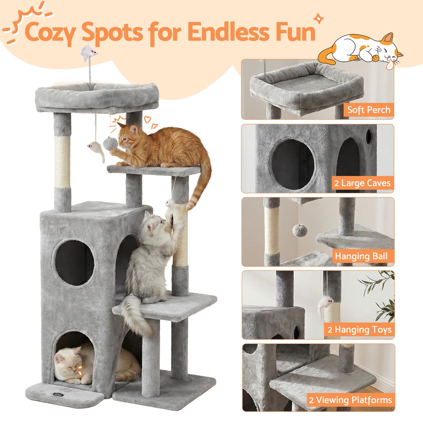 PET-CAT-M127-LTGR-202601161226-04.jpg