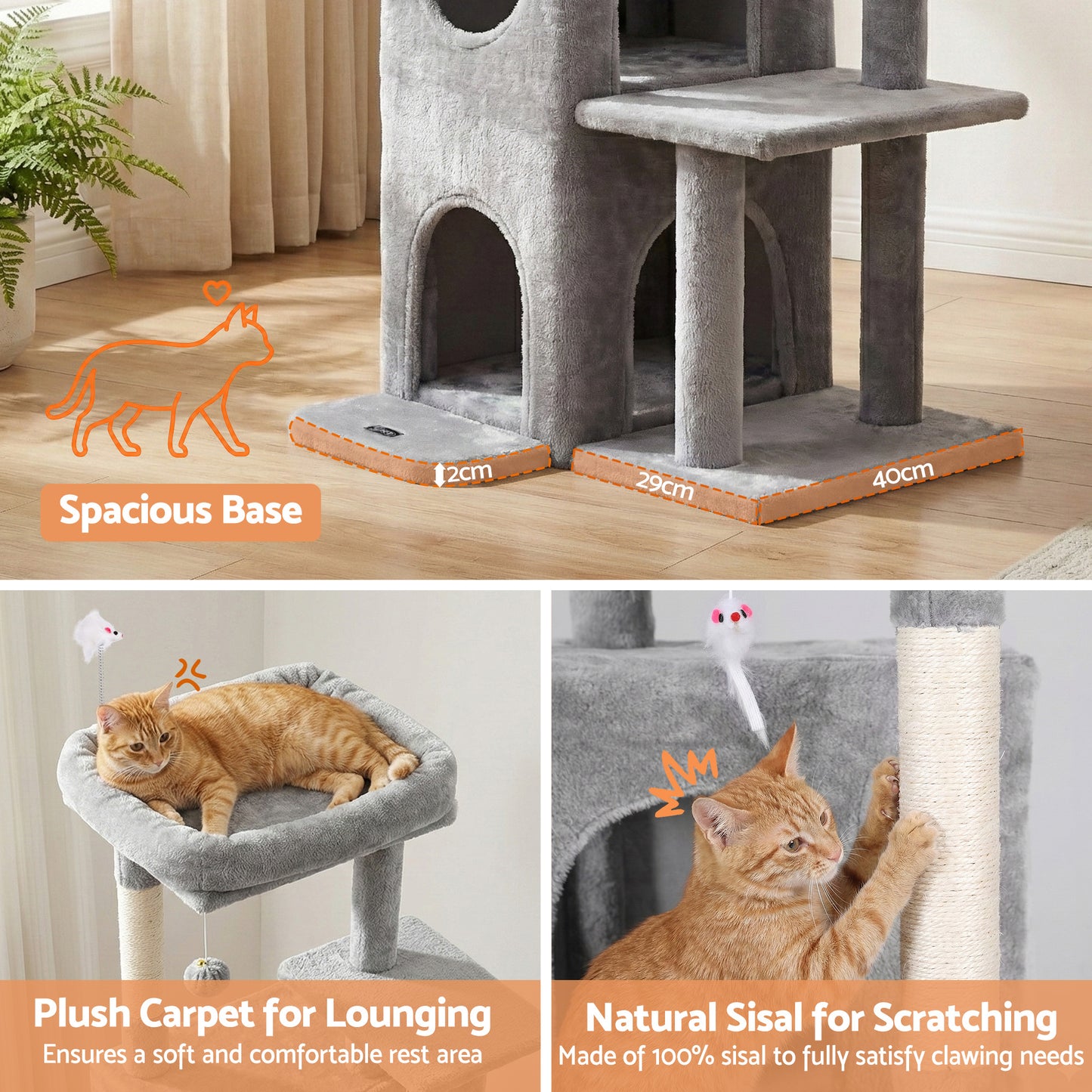 PET-CAT-M127-LTGR-202601161226-06.jpg