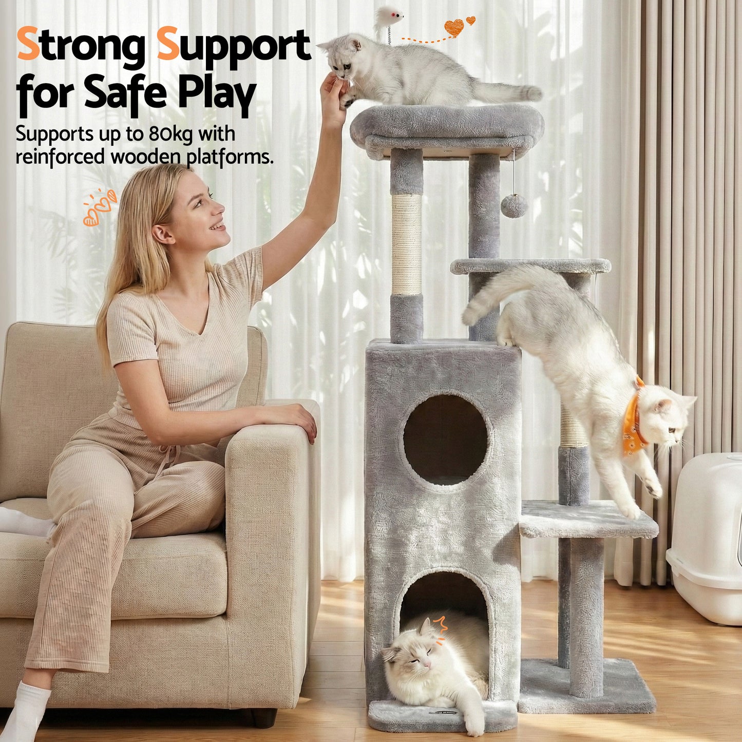 PET-CAT-M127-LTGR-202601161226-07.jpg