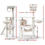 PET-CAT-PCT63-BE-5076-01.jpg