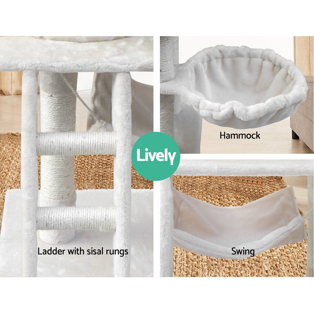 PET-CAT-PCT63-BE-5076-06.jpg