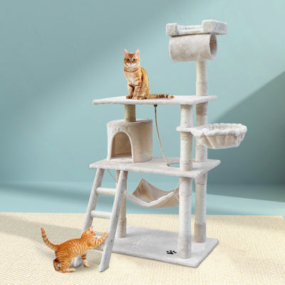 PET-CAT-PCT63-BE-5076-07.jpg