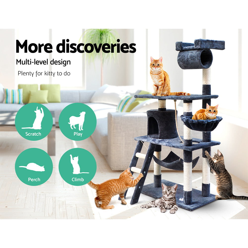 PET-CAT-PCT63-GR-5077-02.jpg