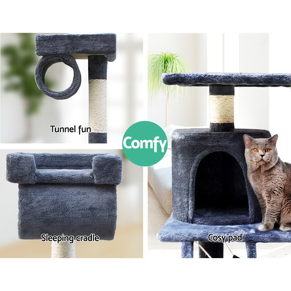 PET-CAT-PCT63-GR-5077-04.jpg