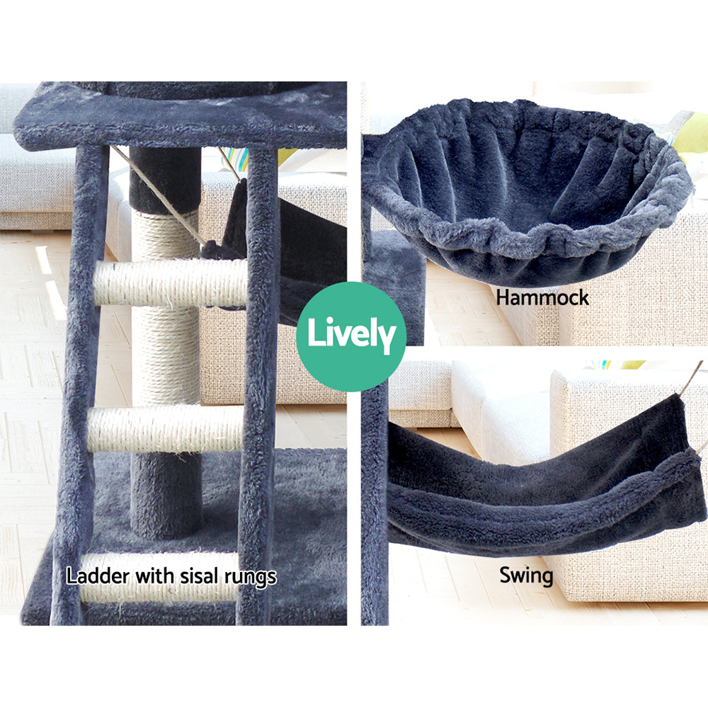PET-CAT-PCT63-GR-5077-06.jpg