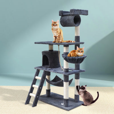 PET-CAT-PCT63-GR-5077-07.jpg