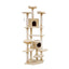 PET-CAT-PCTOP-BE-5525-00.jpg