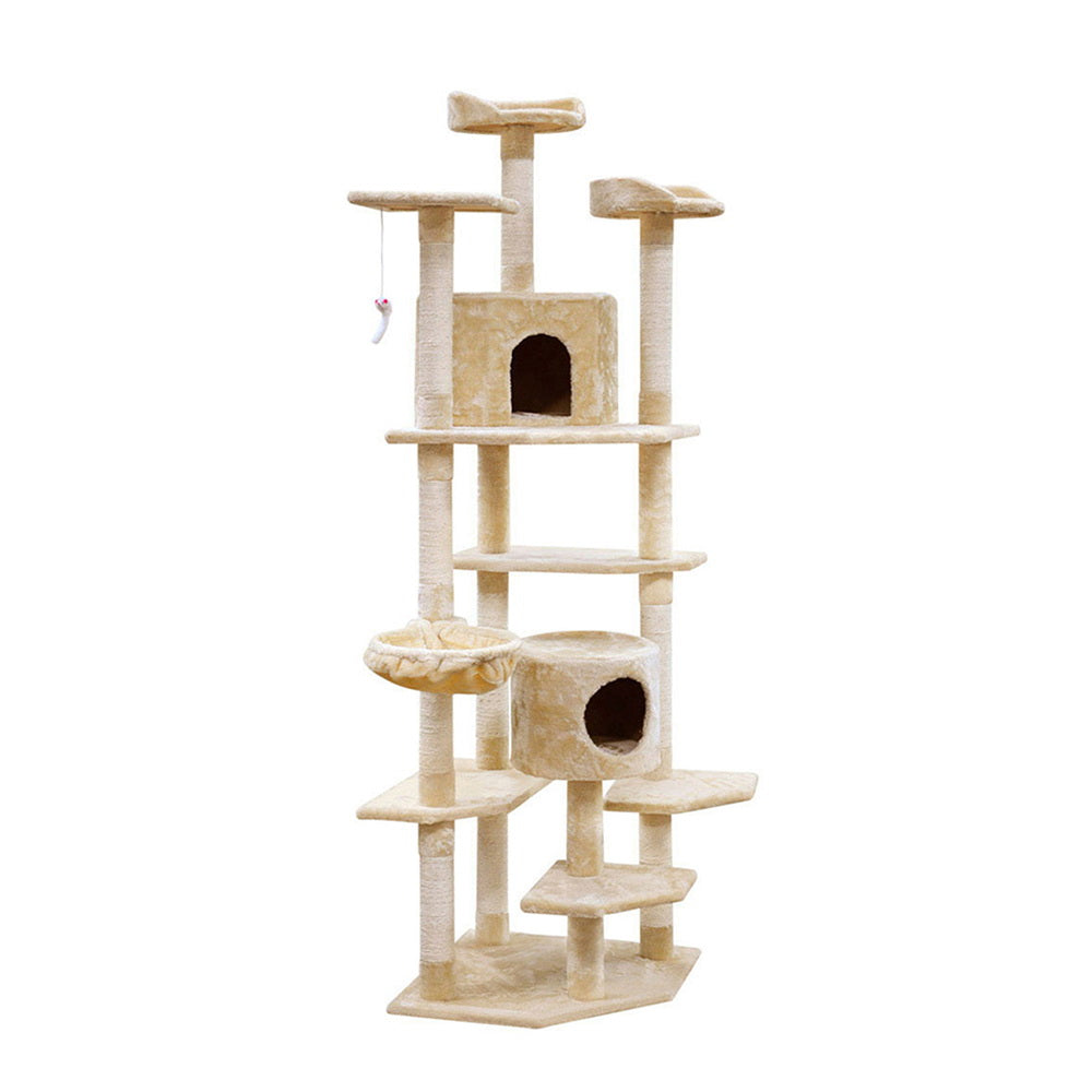PET-CAT-PCTOP-BE-5525-00.jpg