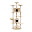 PET-CAT-PCTOP-BE-5525-02.jpg