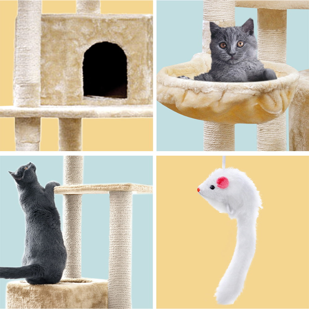 PET-CAT-PCTOP-BE-5525-04.jpg