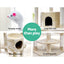 PET-CAT-PCTOP-BE-5525-06.jpg