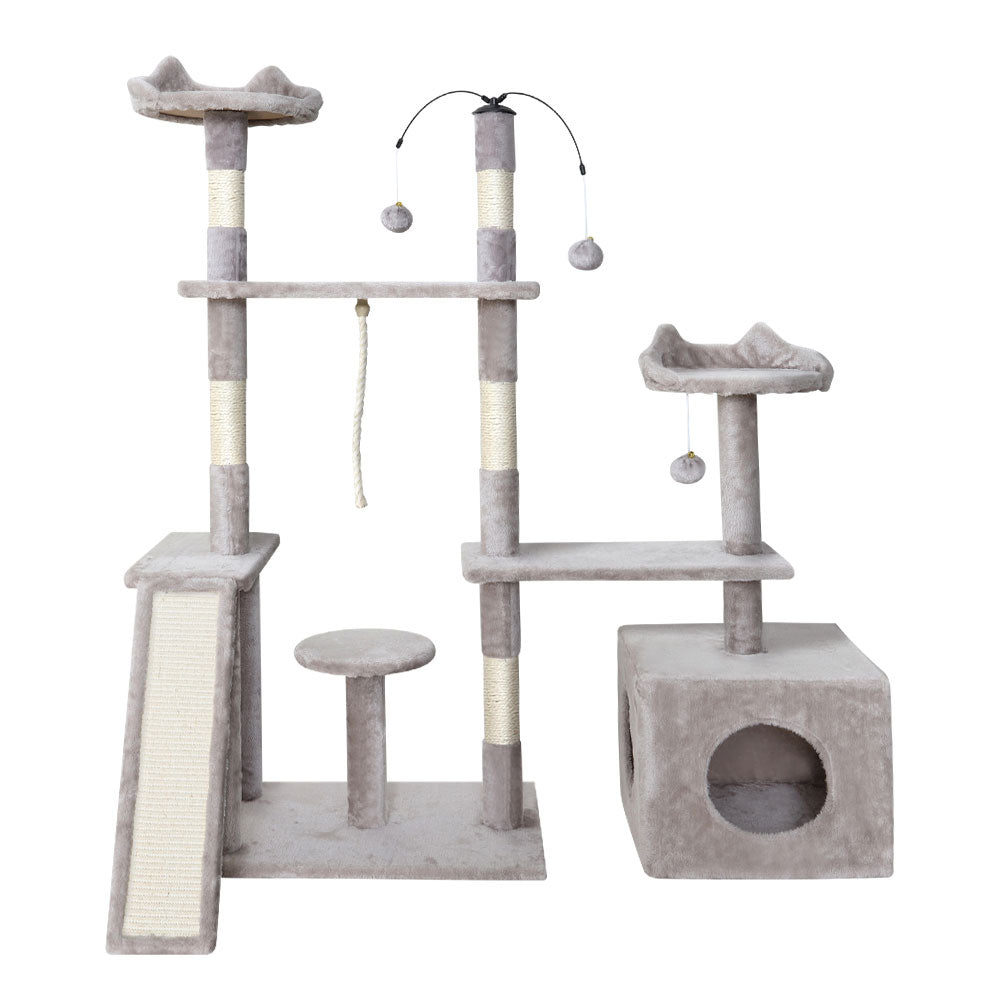 PET-CAT-PETG004-GR-30813-02.jpg
