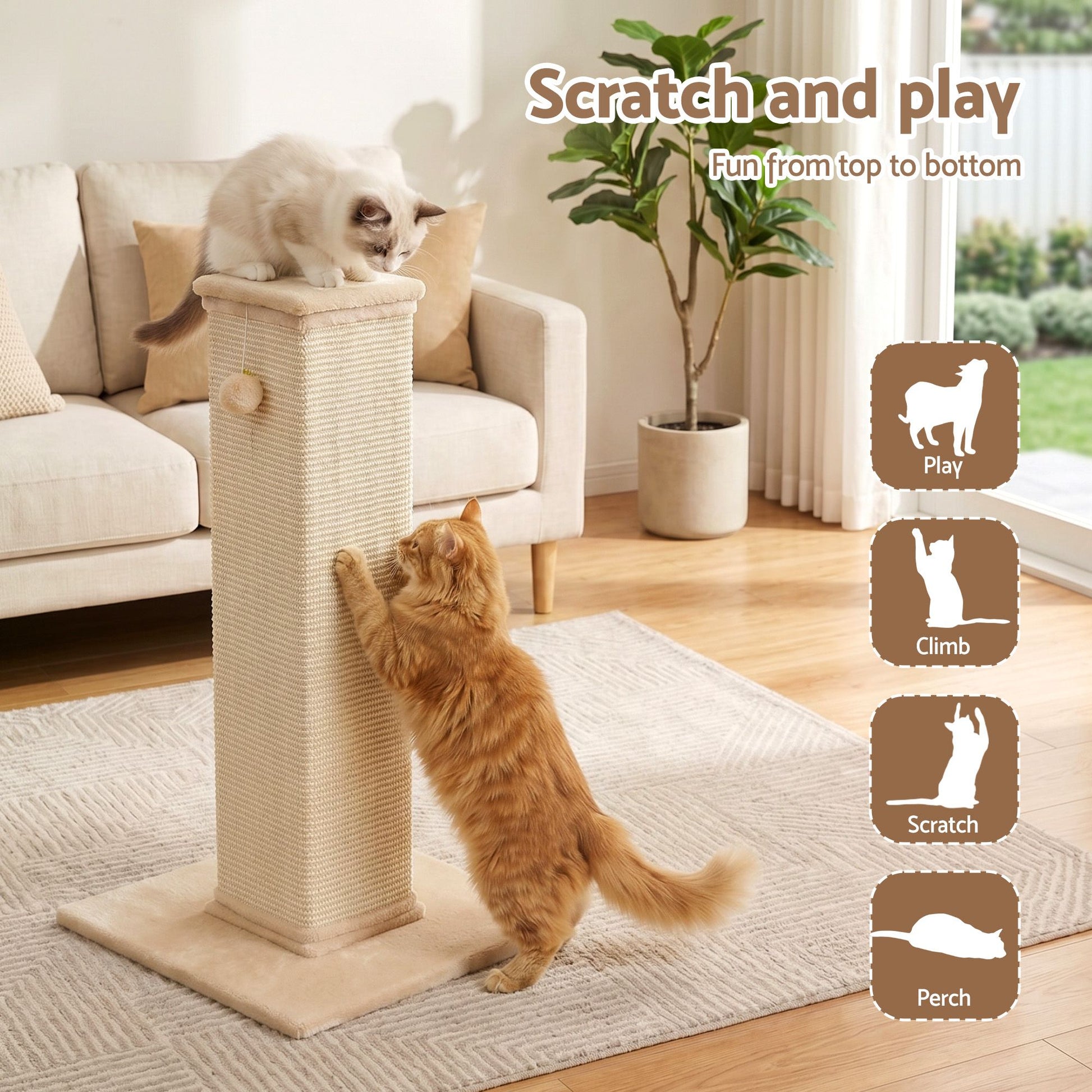 PET-CAT-PO-L-BE-03.jpg
