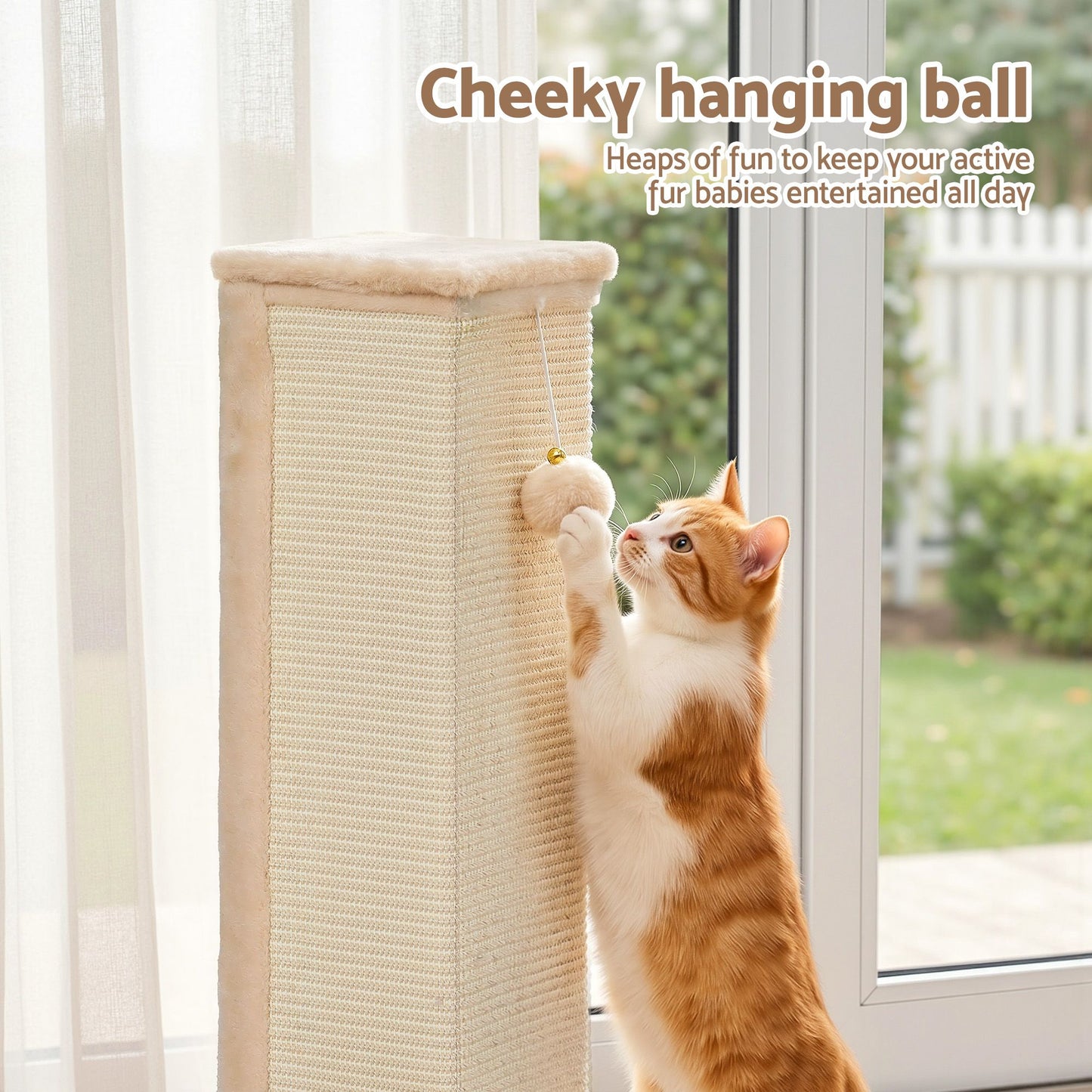 PET-CAT-PO-L-BE-05.jpg