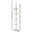 PET-CAT-POLE-BEWH-161788-01.jpg