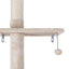 PET-CAT-POLE-BEWH-161788-02.jpg