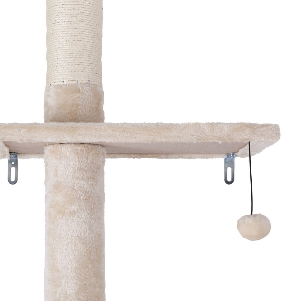 PET-CAT-POLE-BEWH-161788-02.jpg