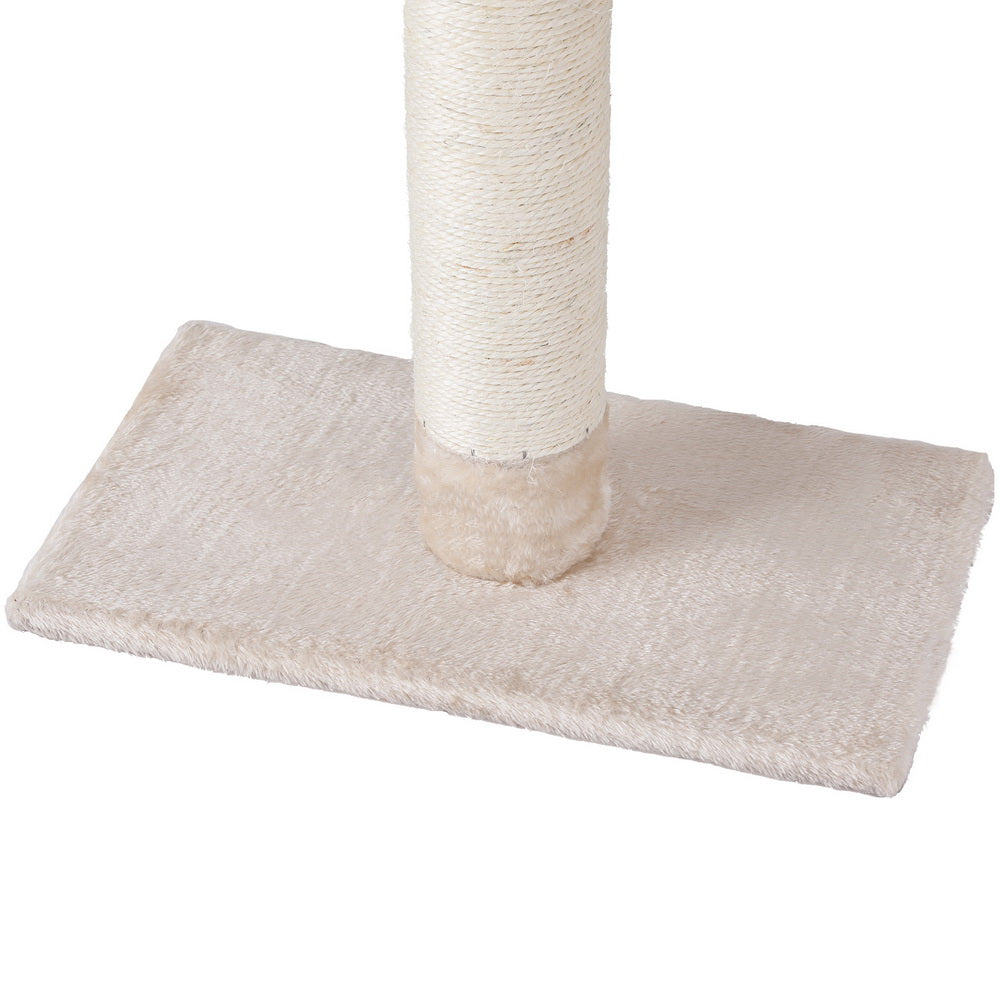 PET-CAT-POLE-BEWH-161788-03.jpg