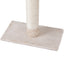 PET-CAT-POLE-BEWH-161788-03.jpg