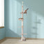 PET-CAT-POLE-BEWH-161788-04.jpg