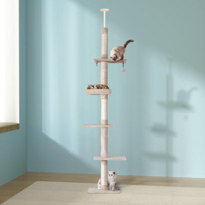 PET-CAT-POLE-BEWH-161788-04.jpg