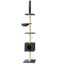 PET-CAT-POLE-DKGR-89854-00.jpg