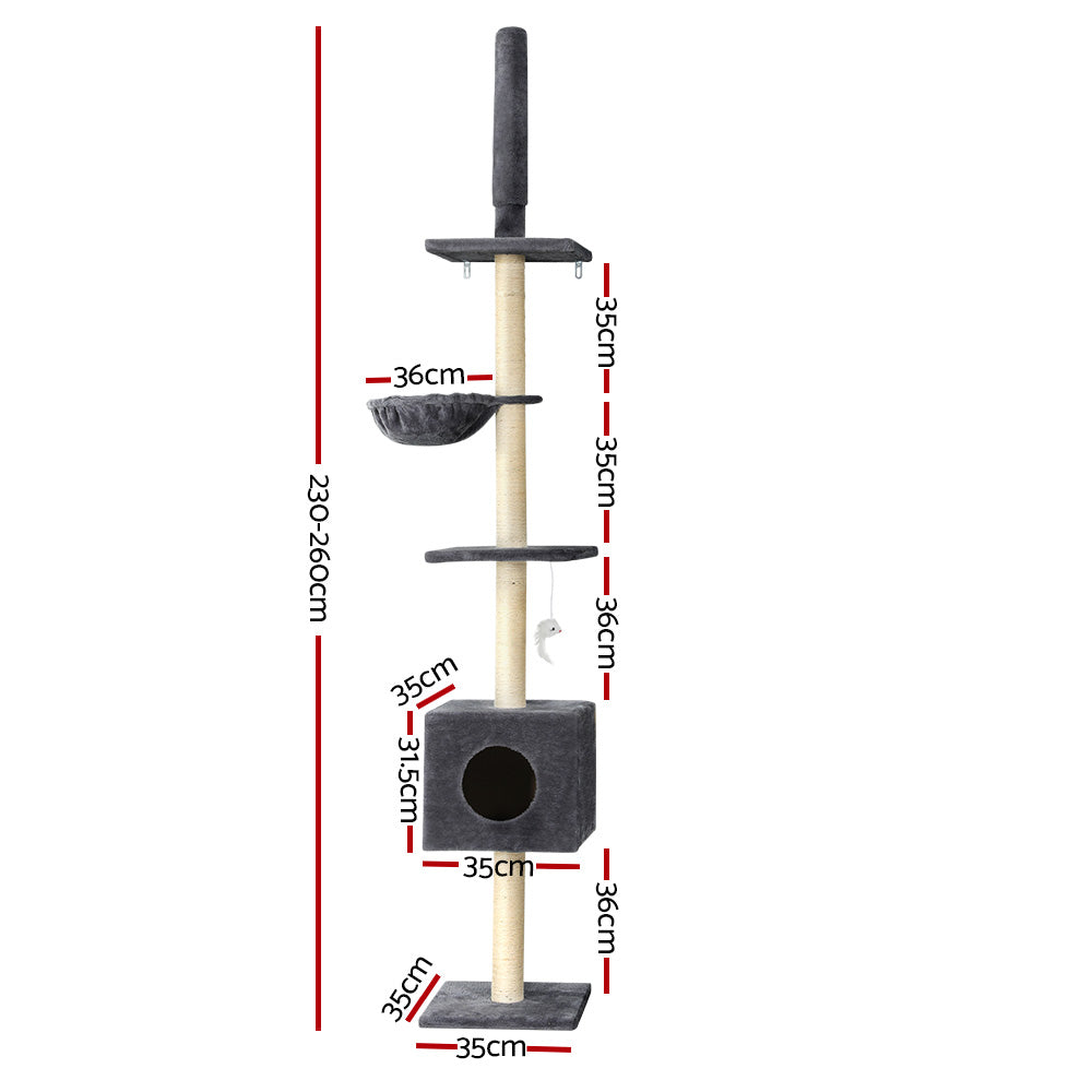 PET-CAT-POLE-DKGR-89854-01.jpg