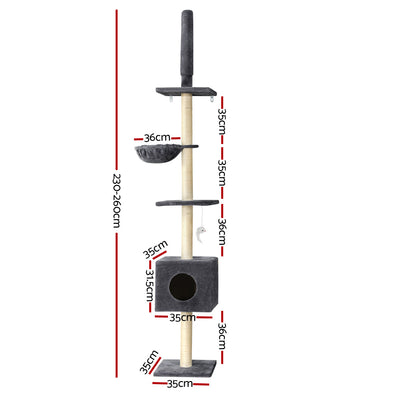 PET-CAT-POLE-DKGR-89854-01.jpg