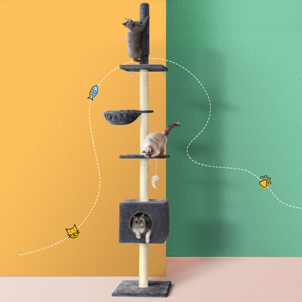 PET-CAT-POLE-DKGR-89854-04.jpg