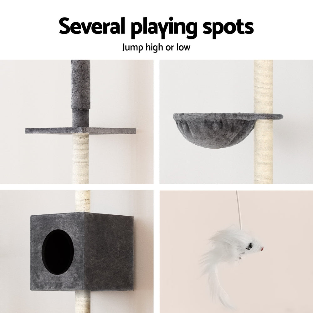 PET-CAT-POLE-DKGR-89854-06.jpg