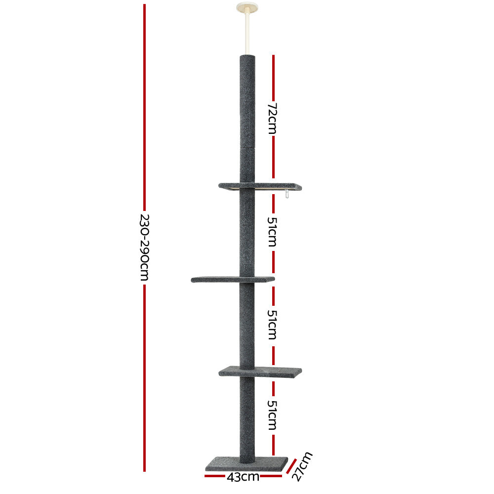 PET-CAT-POLE-GR-89852-01.jpg
