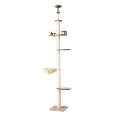 PET-CAT-POLE-W-BE-202512091632-00.jpg