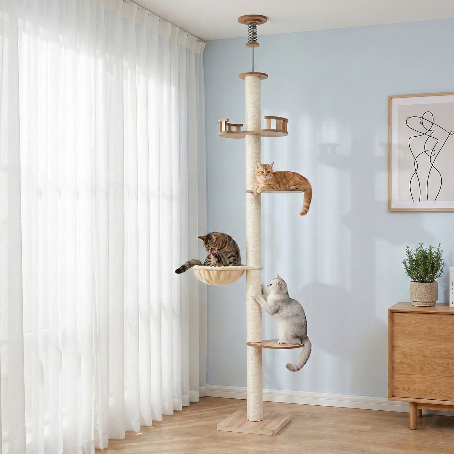 PET-CAT-POLE-W-BE-202512091632-06.jpg